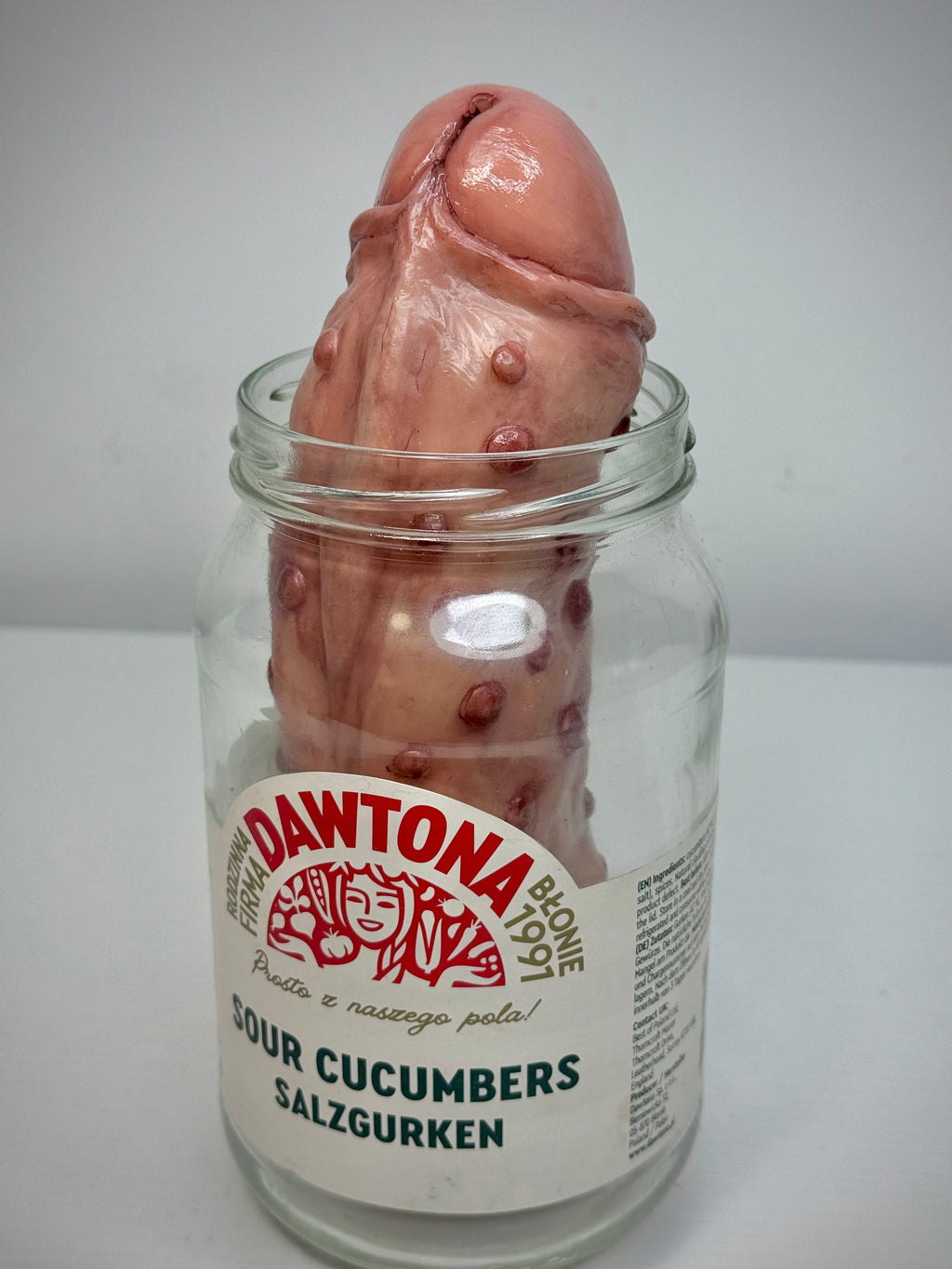 Dick Pickle – Grotesque Pickled Oddity – Weird Handmade Polymer Clay Sculpt