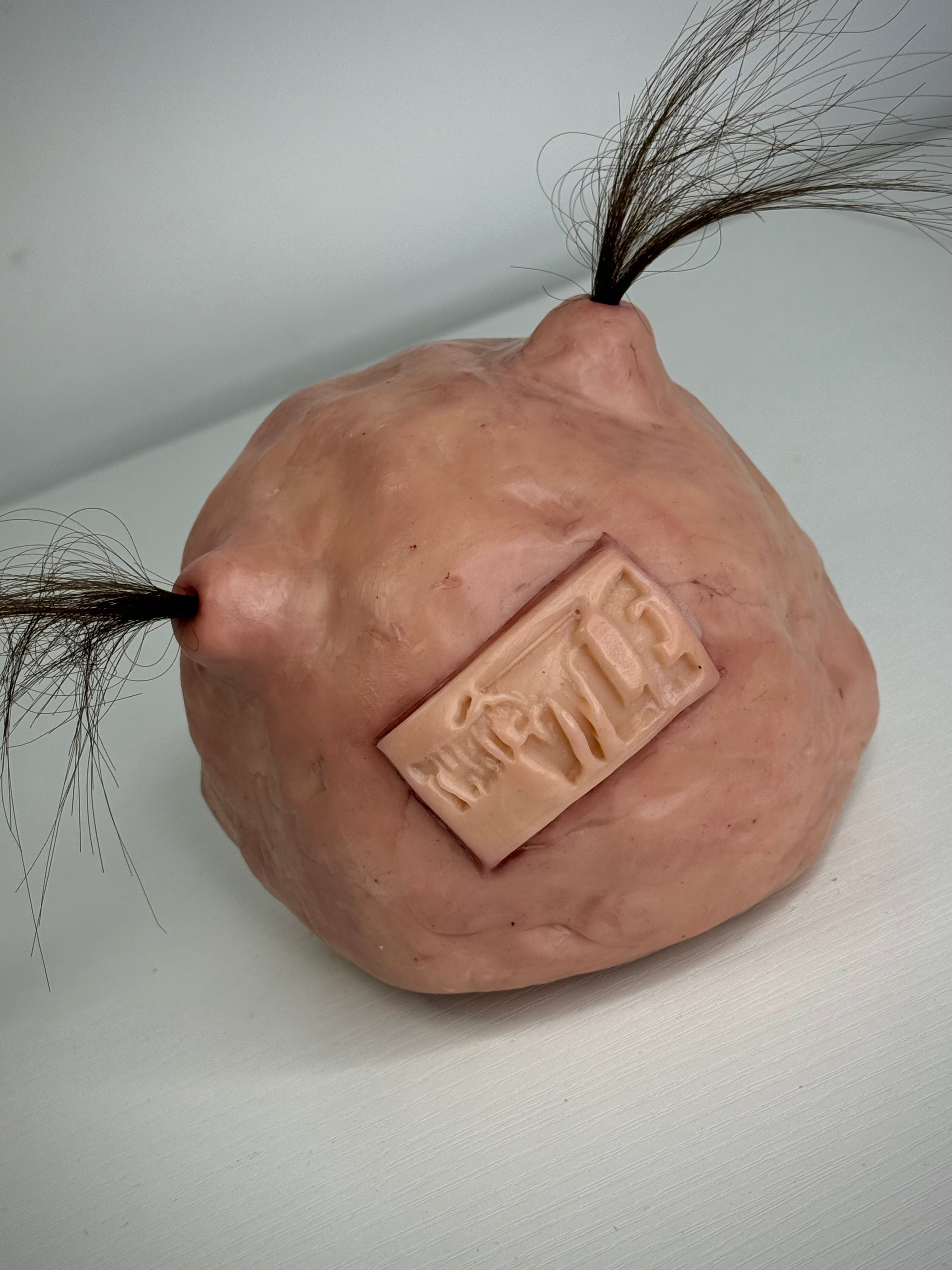 Ugly  head sculpture