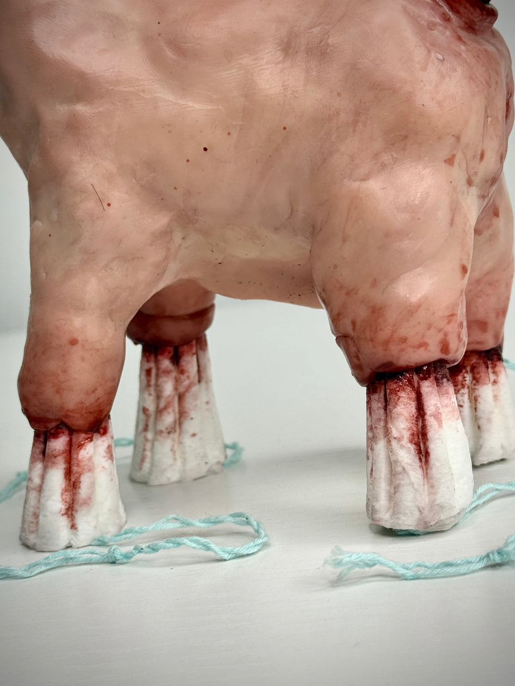 Disturbie- Tampon pony