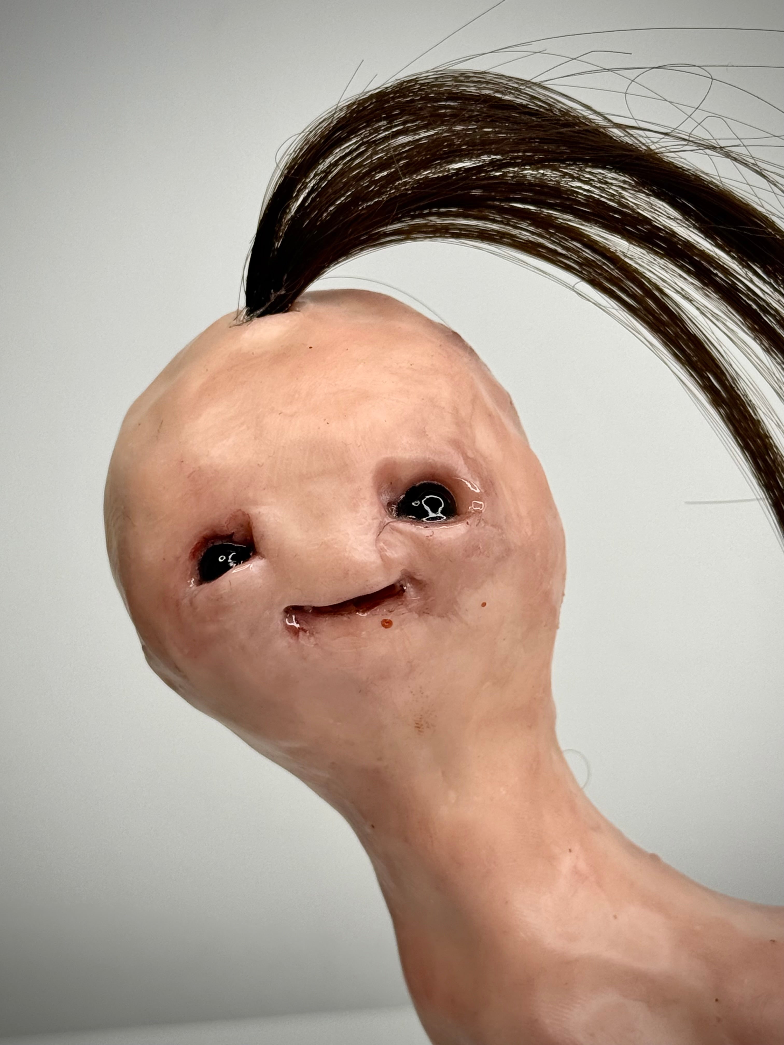 Disturbie- Tampon pony
