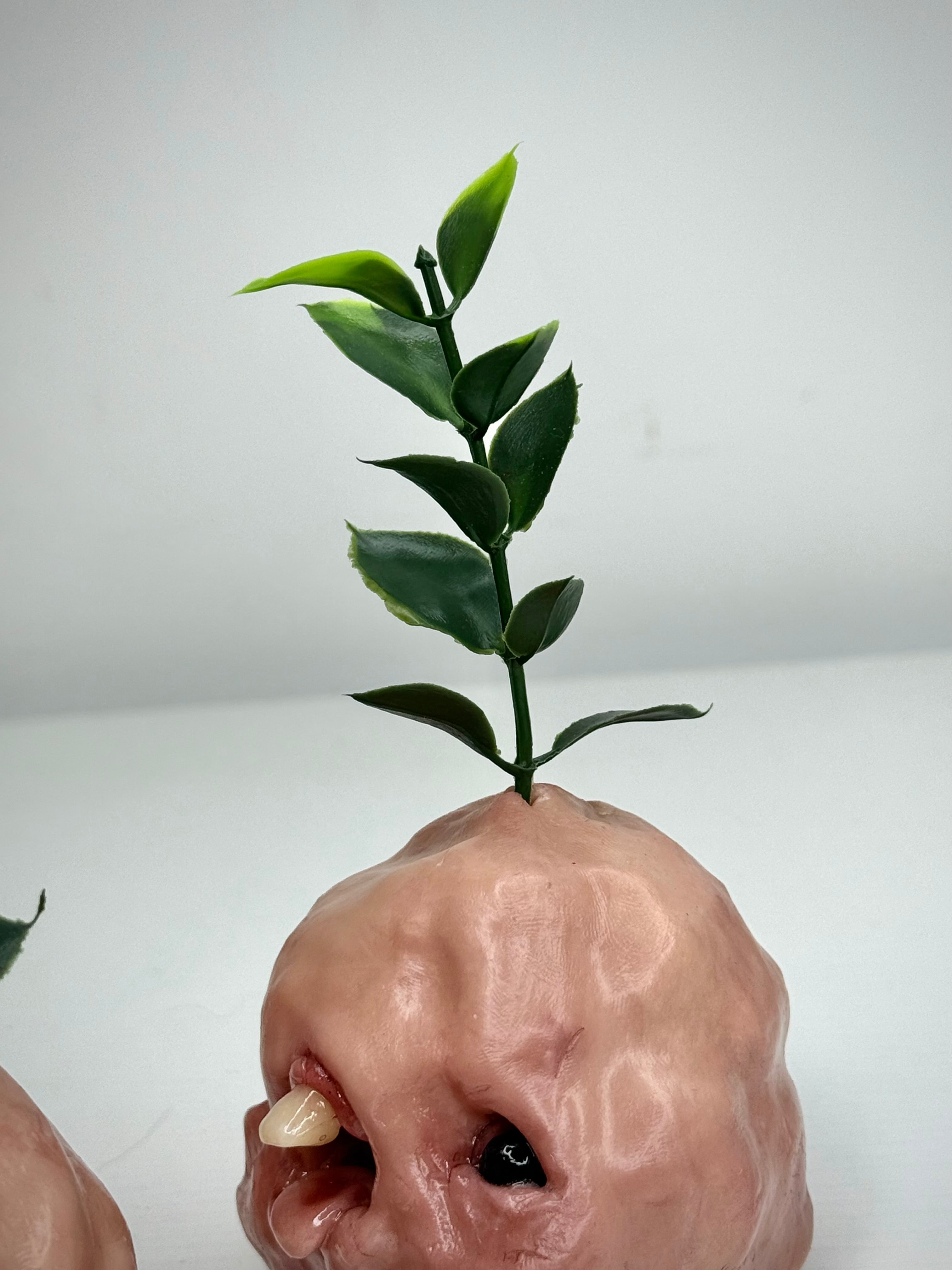 Sprout Nugget – Weird Handmade Polymer Clay Creature Sculpture – Creepy Plant Oddity