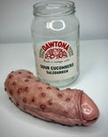 Dick Pickle – Grotesque Pickled Oddity – Weird Handmade Polymer Clay Sculpt
