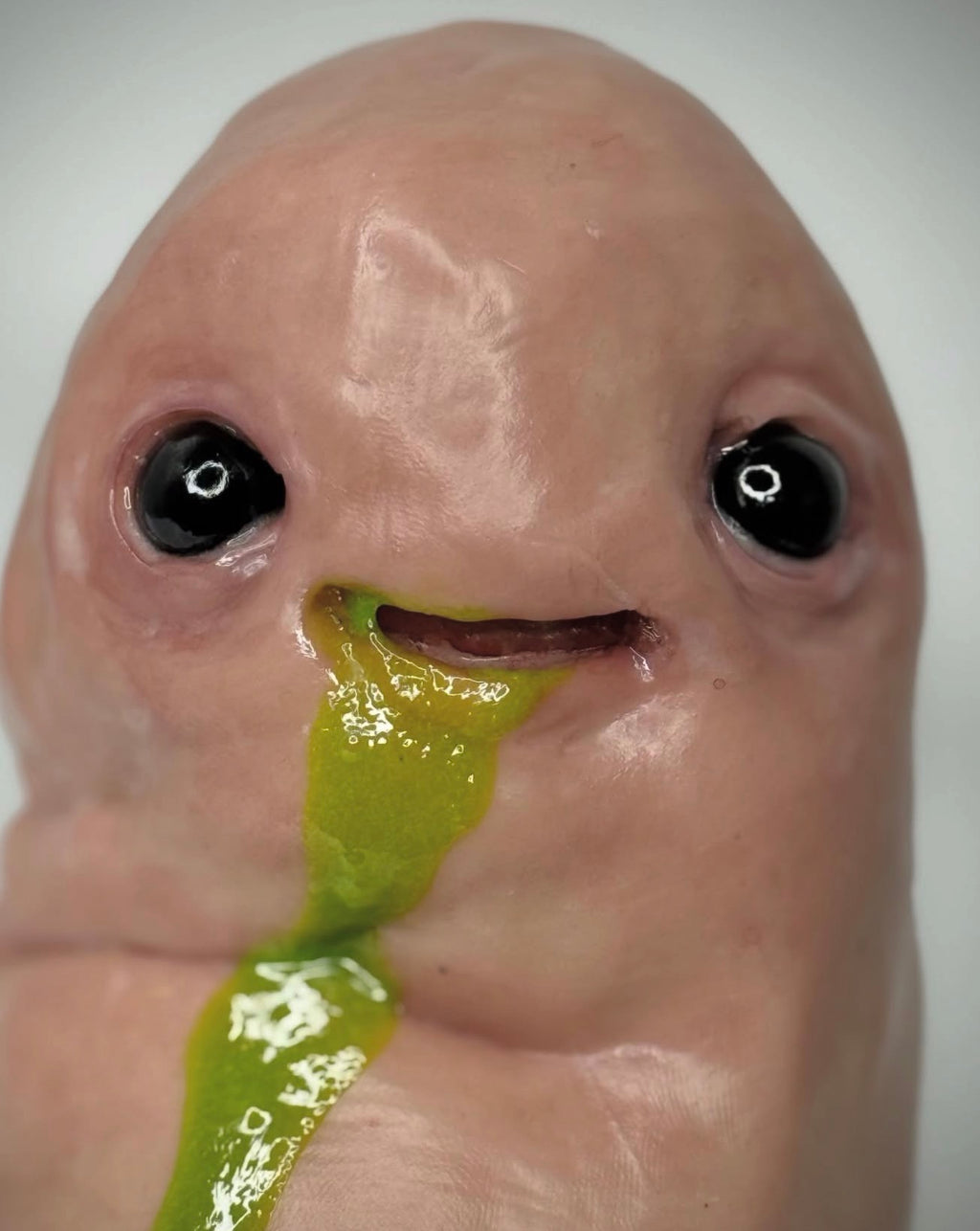 Big Sicky Bean – Handmade Creature Sculpture