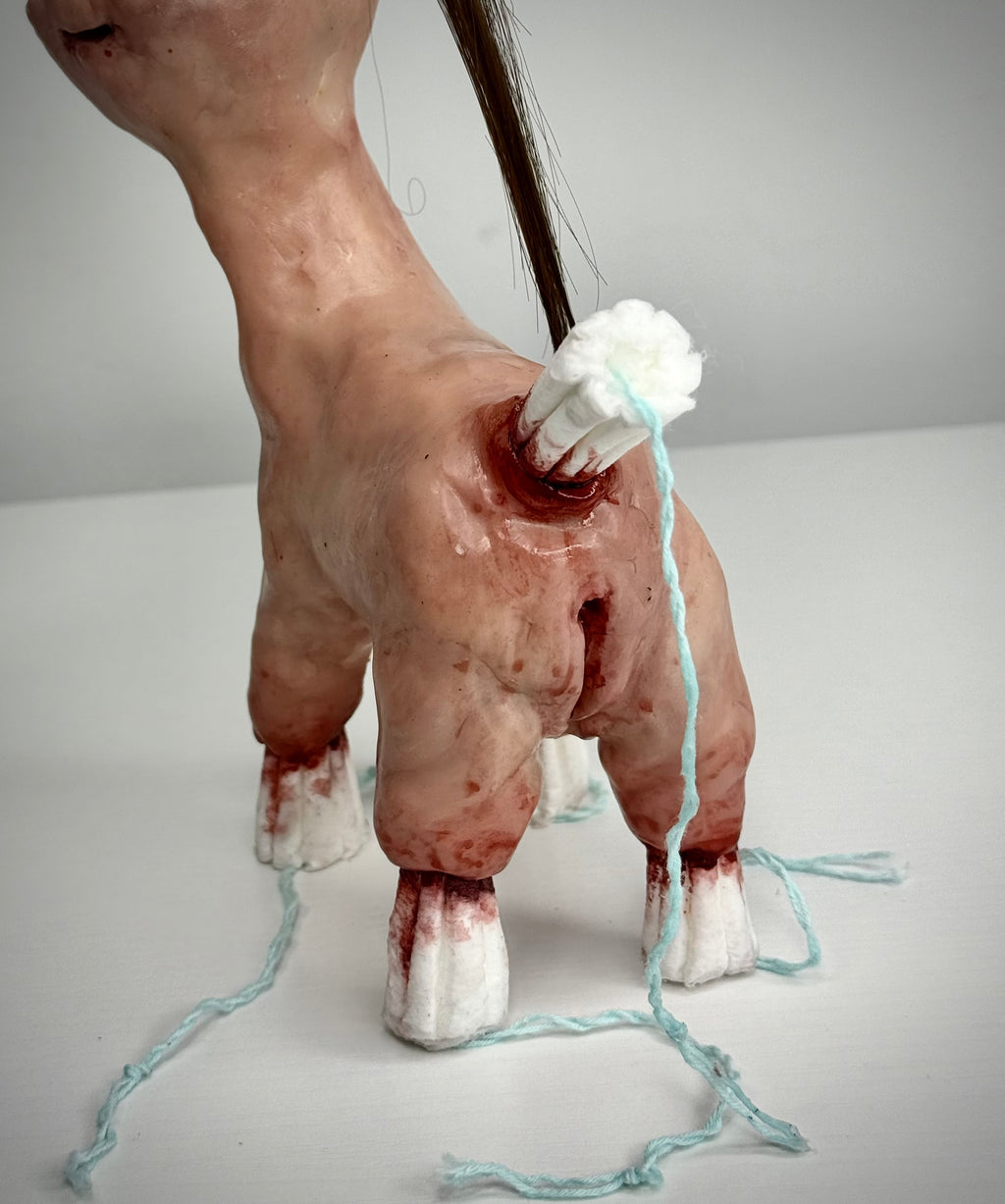 Disturbie- Tampon pony