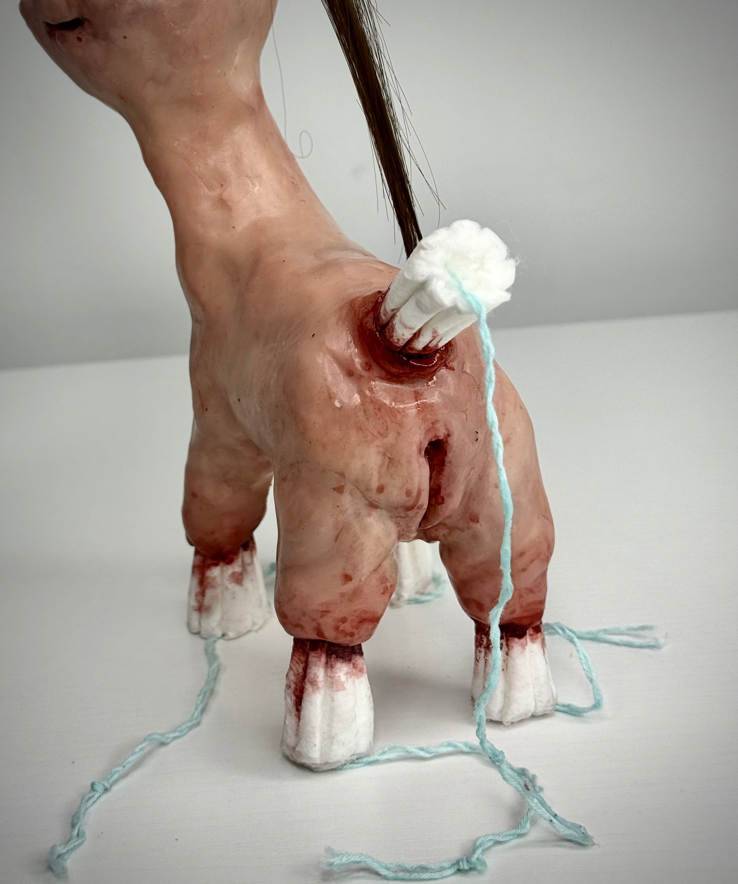 Disturbie- Tampon pony