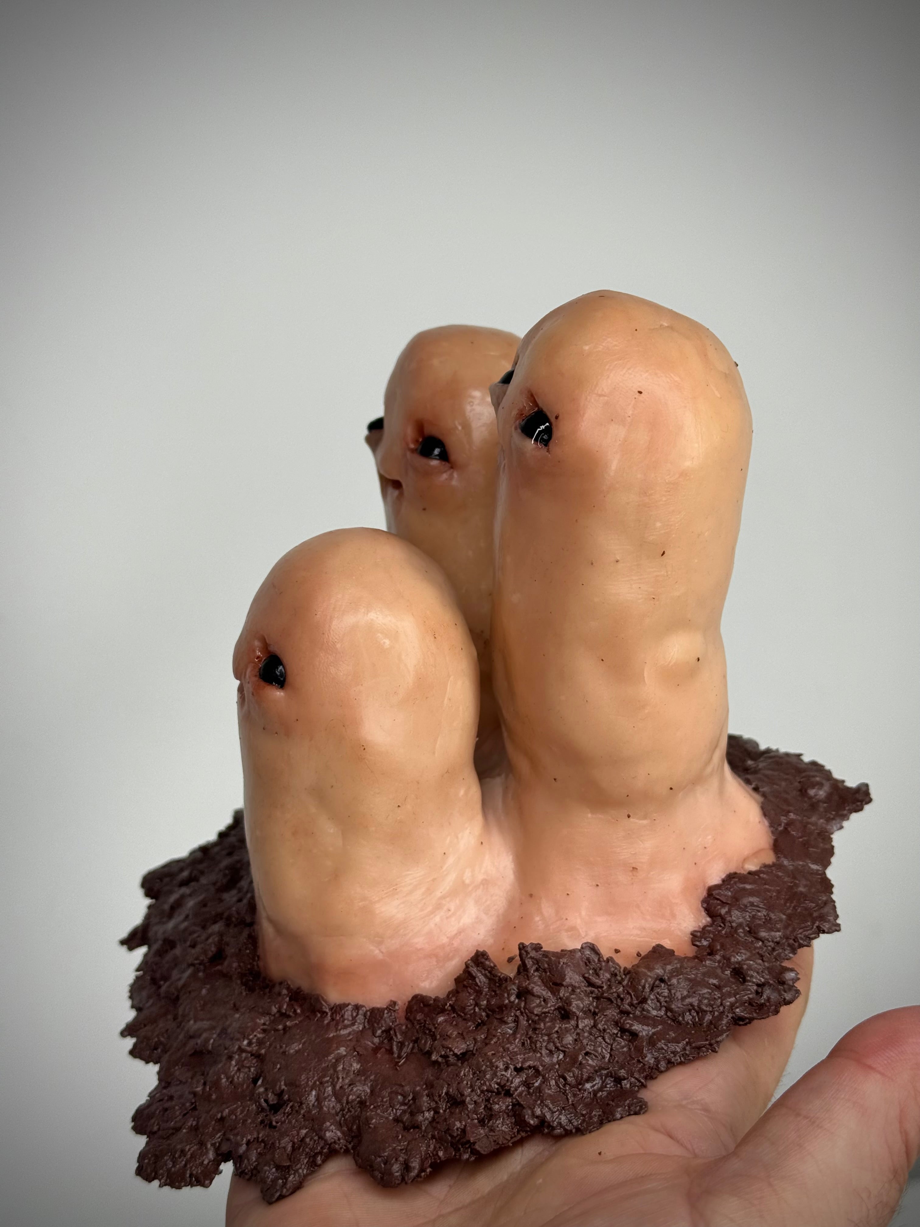 Diglett Bean