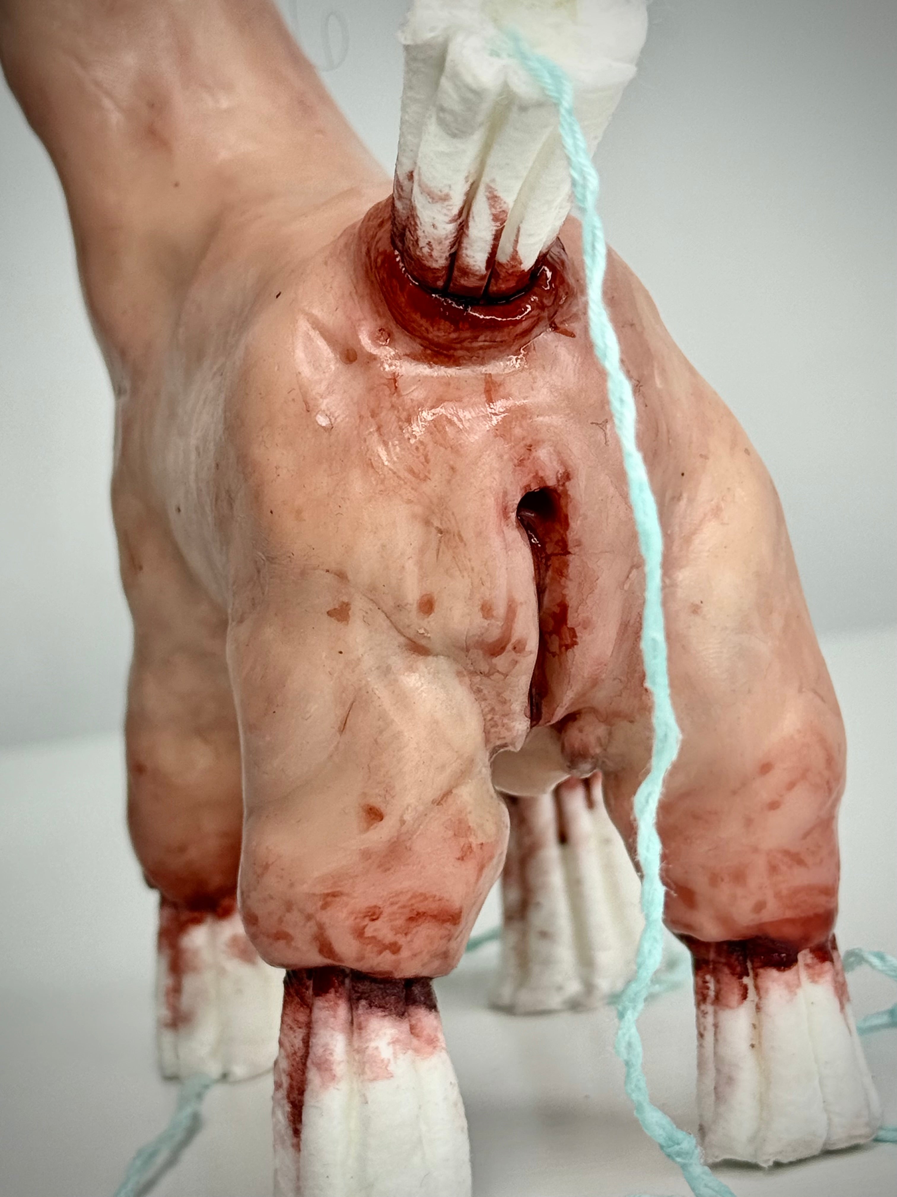 Disturbie- Tampon pony