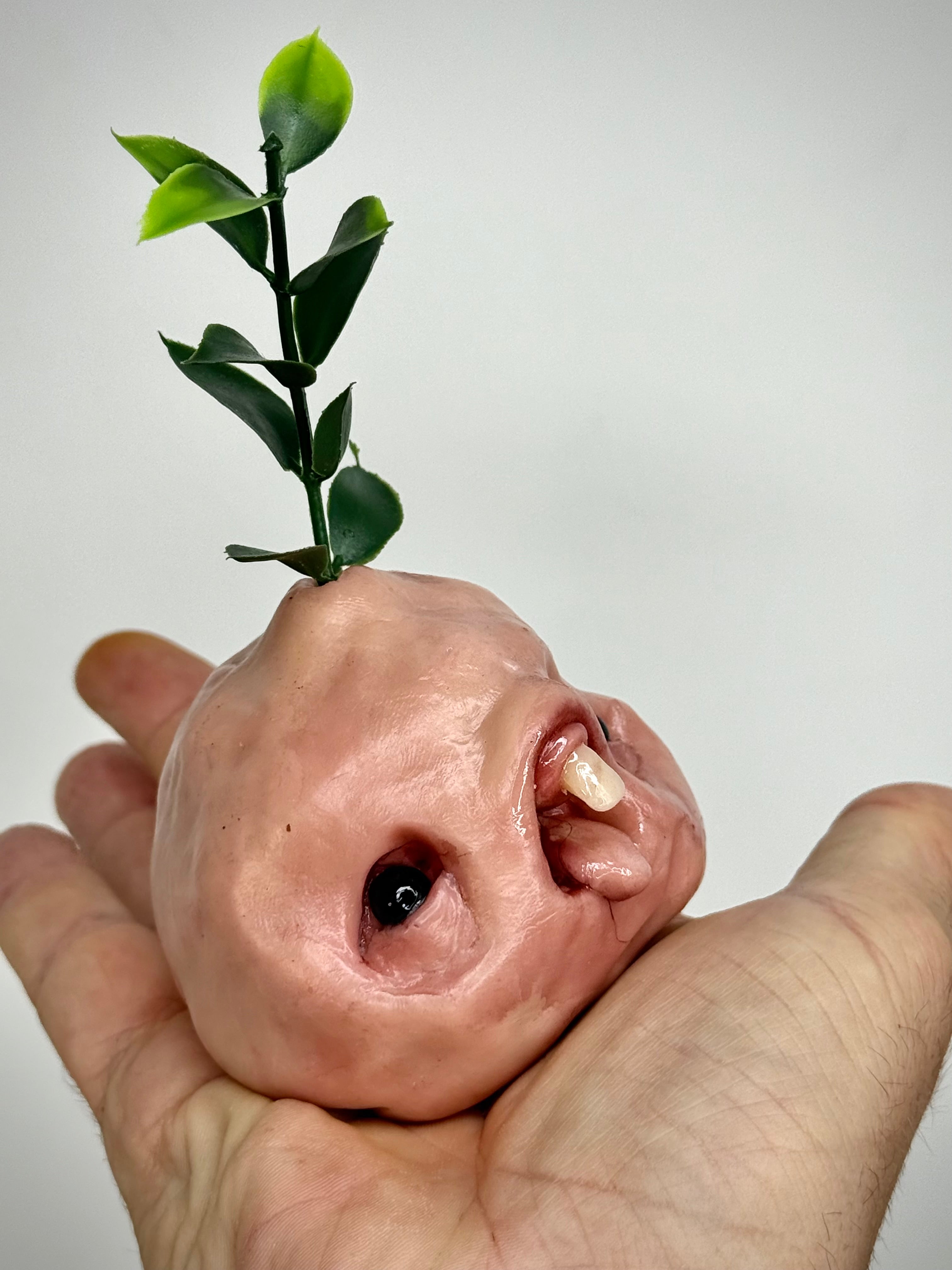 Sprout Nugget – Weird Handmade Polymer Clay Creature Sculpture – Creepy Plant Oddity