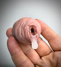 Dripping Foreskin Magnet