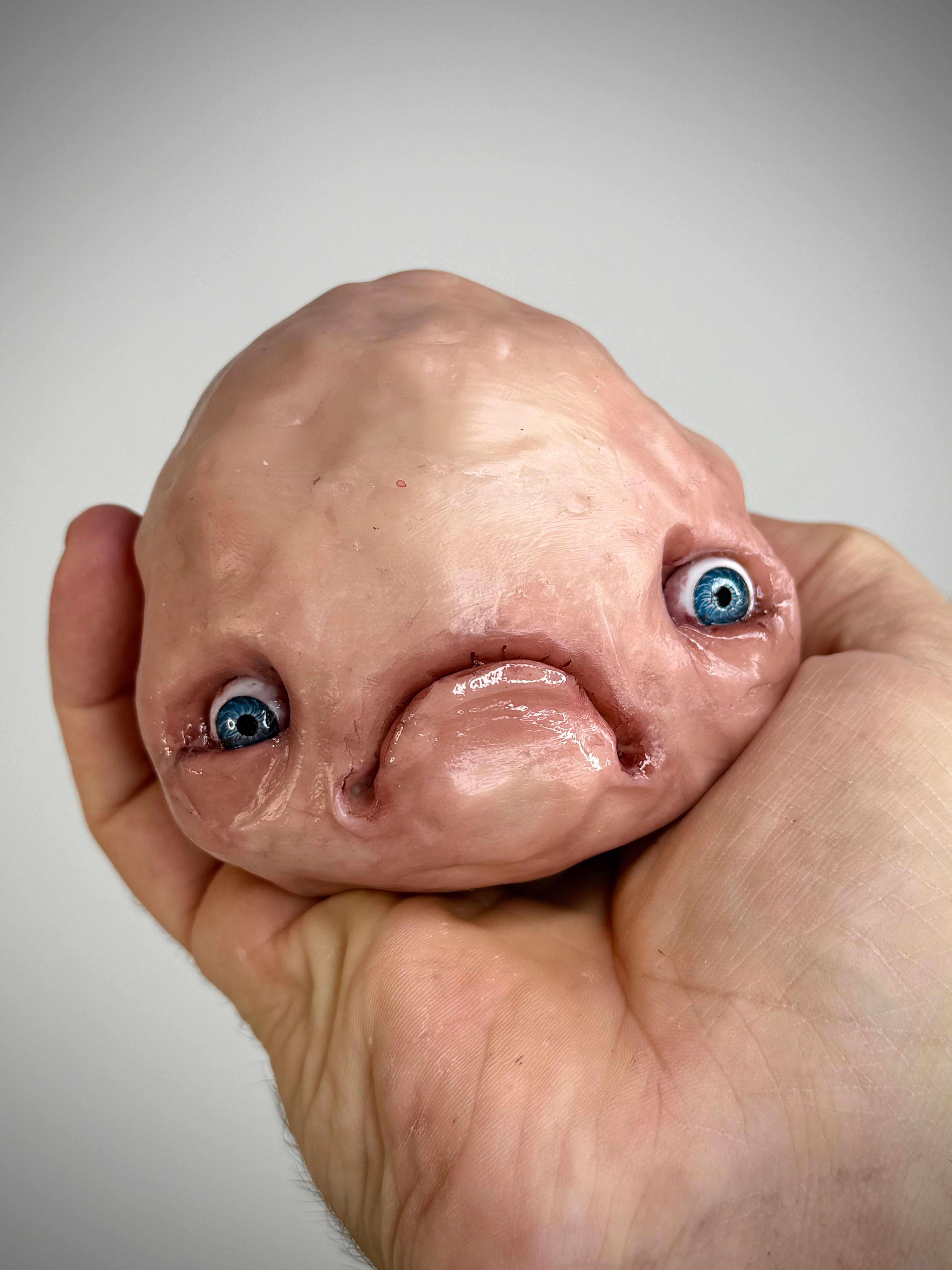 My Pet Blob – Grotesque Creature Sculpture – Weird Handmade Polymer Clay Oddity