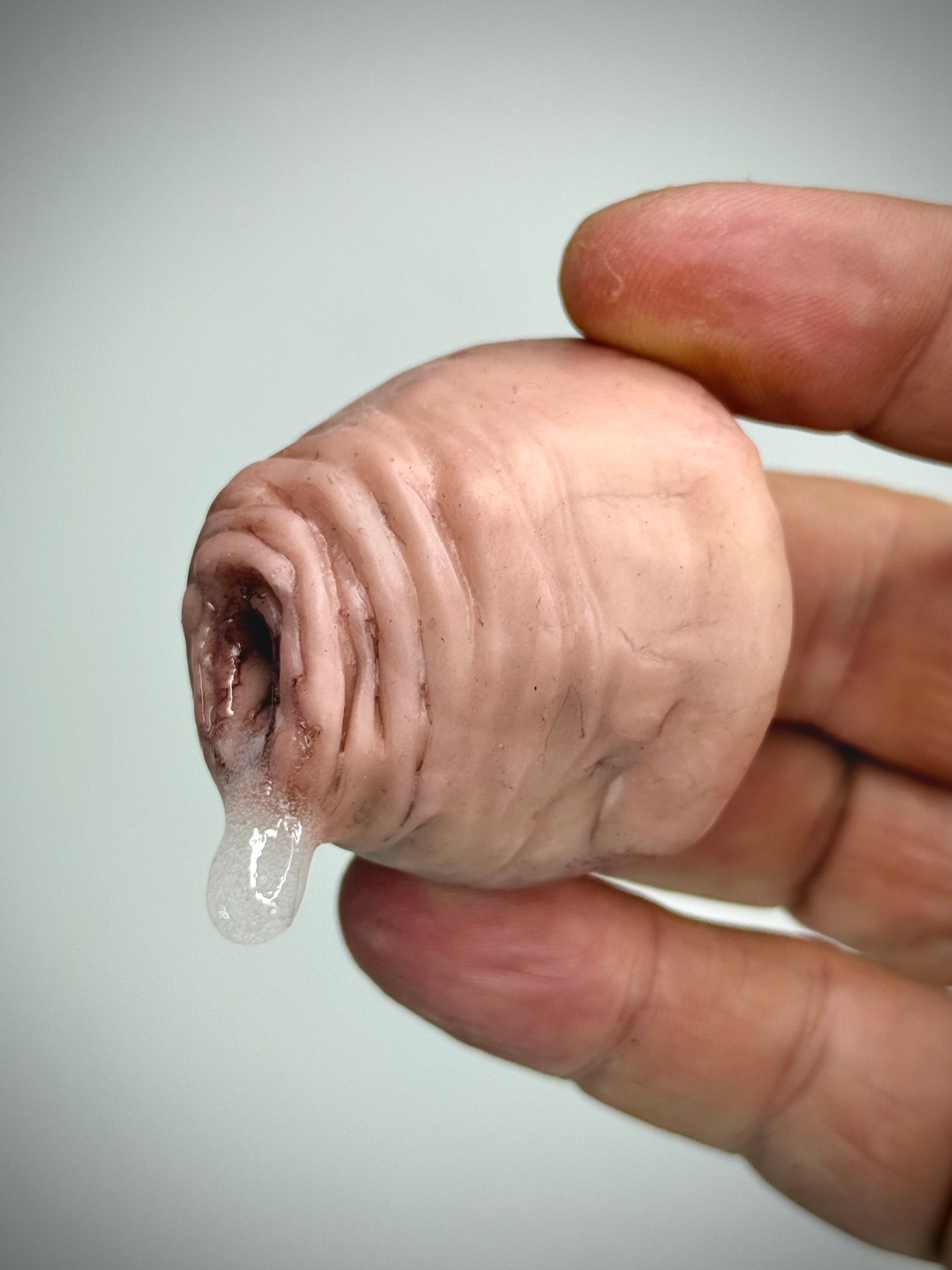 Dripping Foreskin Magnet
