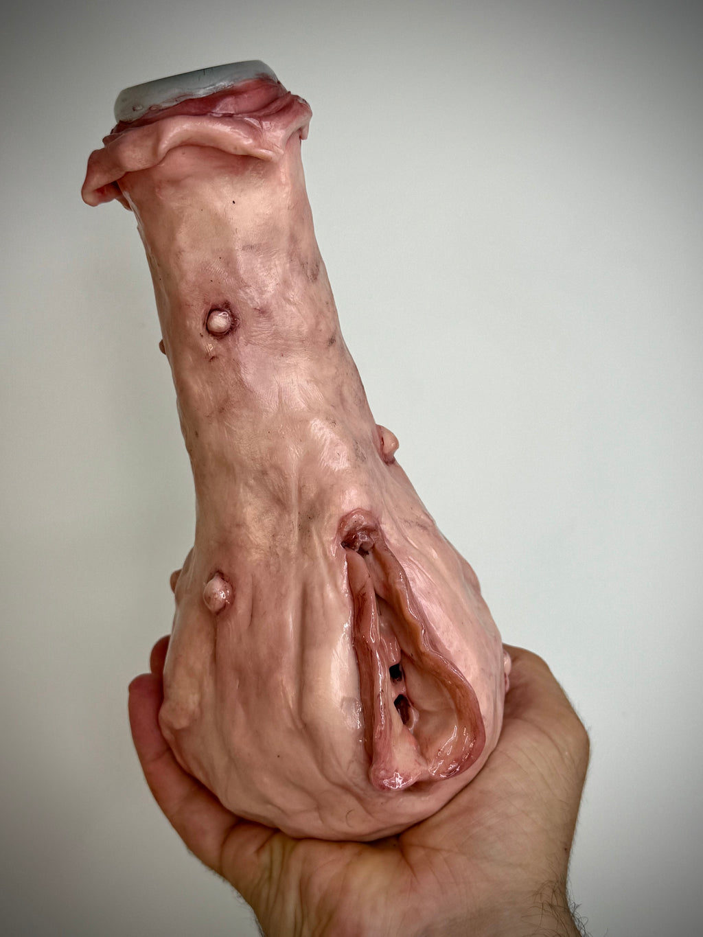 Vagina Bong Handmade Horror Smoking Piece Creepy Sculpture Gothic Art Collectible