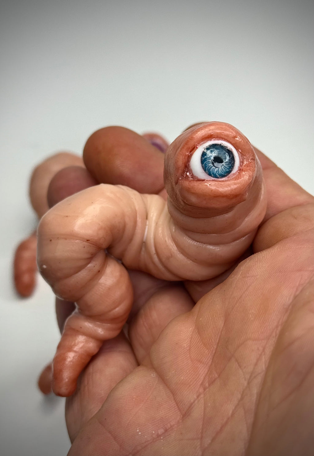 Worm Freind