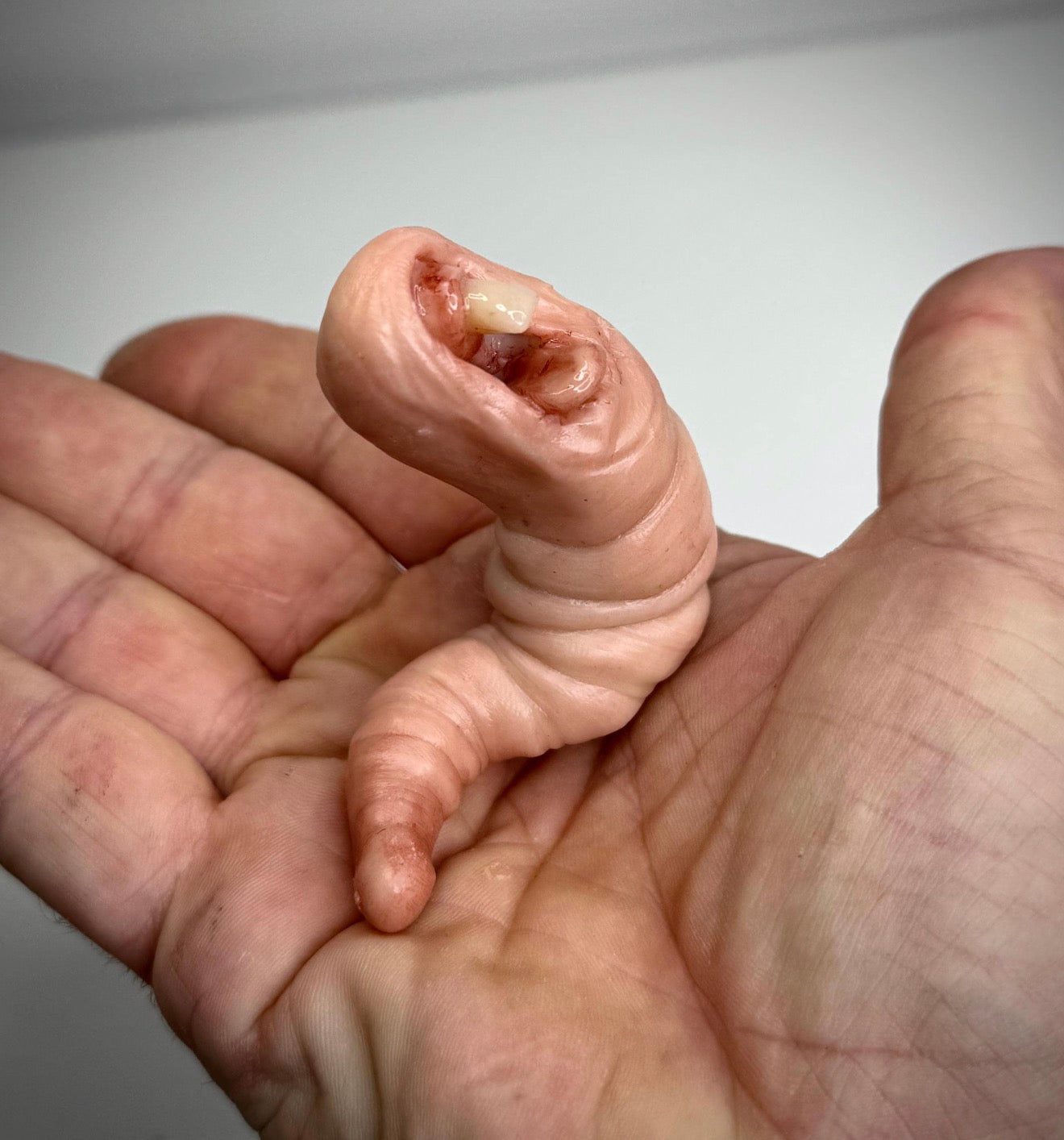 The Nibbler – Grotesque Creature Sculpture – Weird Handmade Polymer Clay Oddity
