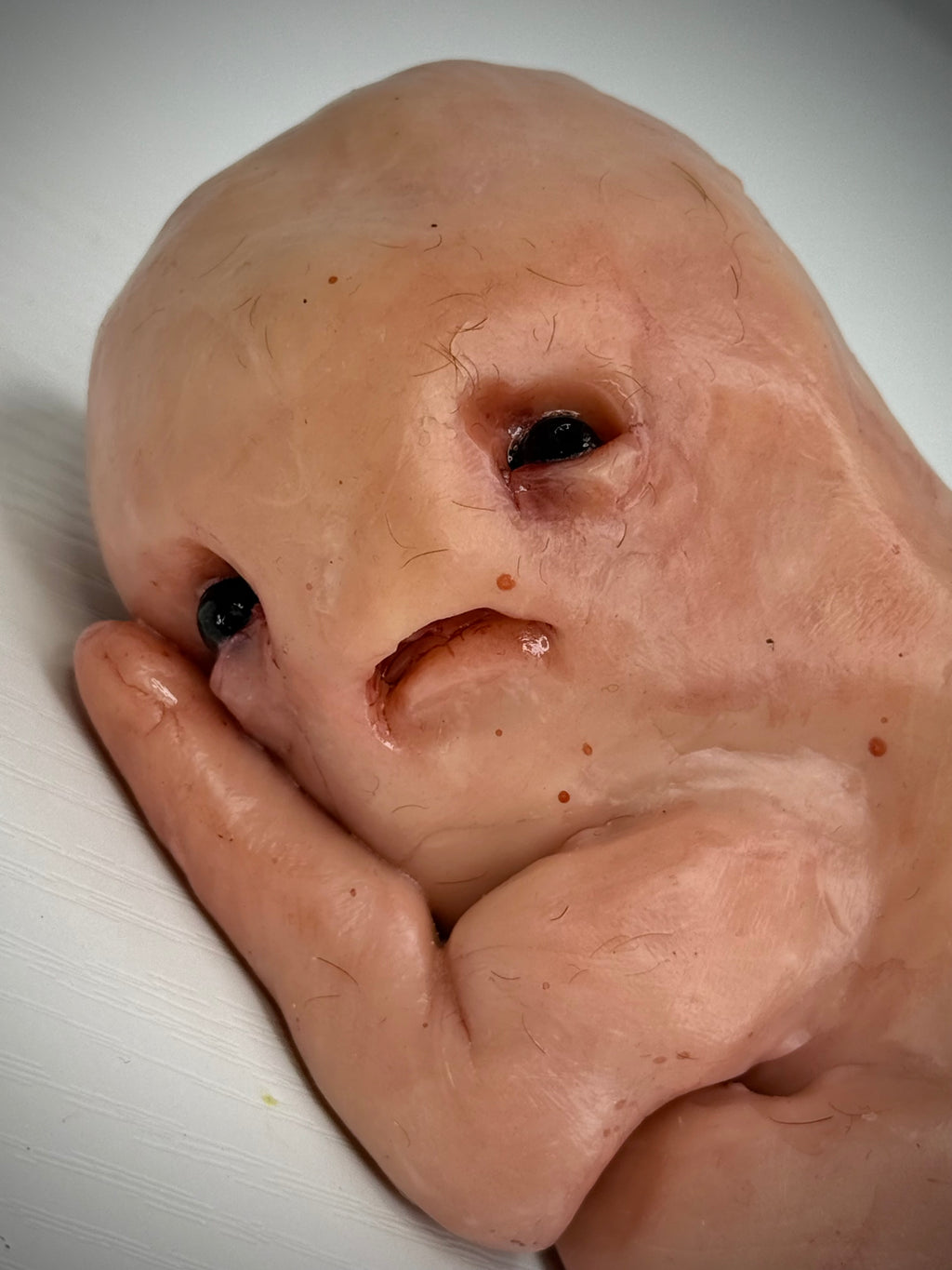 Disturbie “The Last Wipe” Weird Handmade Polymer Clay Horror Sculpture