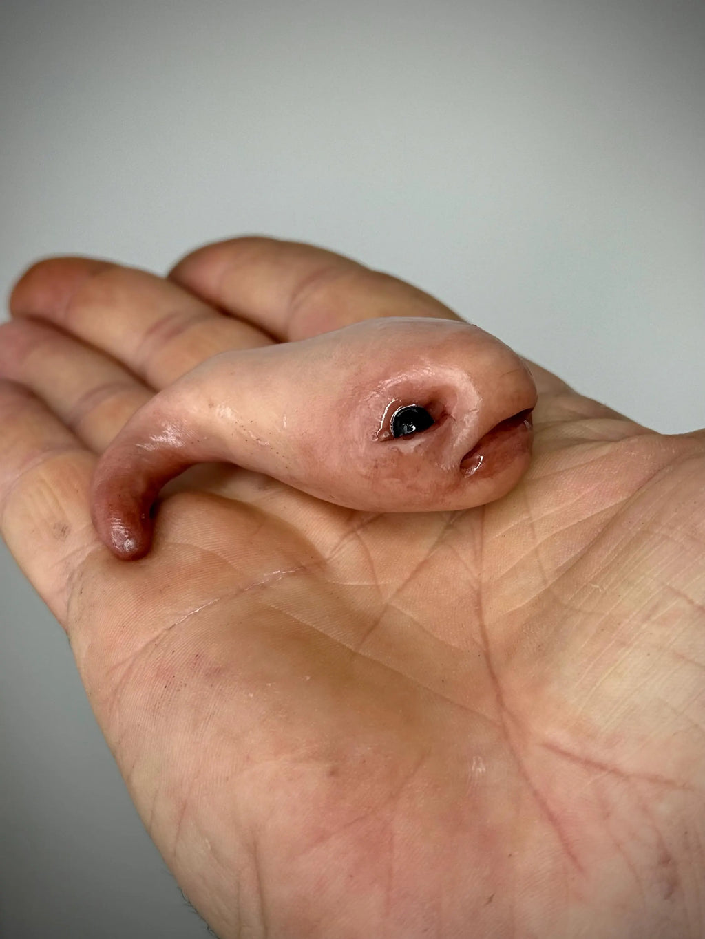 Squib-   Handmade Polymer Clay  Figurine - Unique Collectible Creature Art