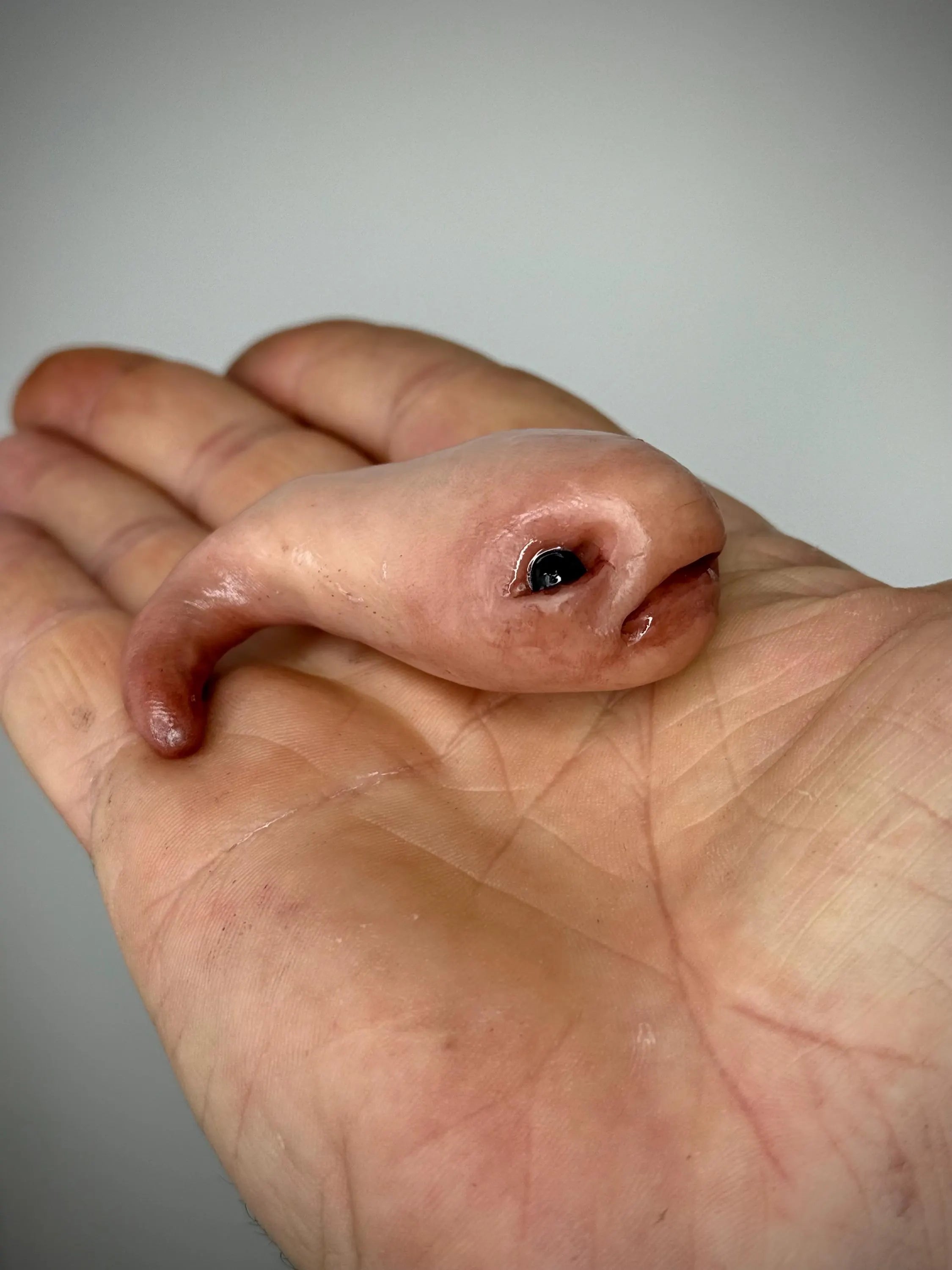 Squib-   Handmade Polymer Clay  Figurine - Unique Collectible Creature Art