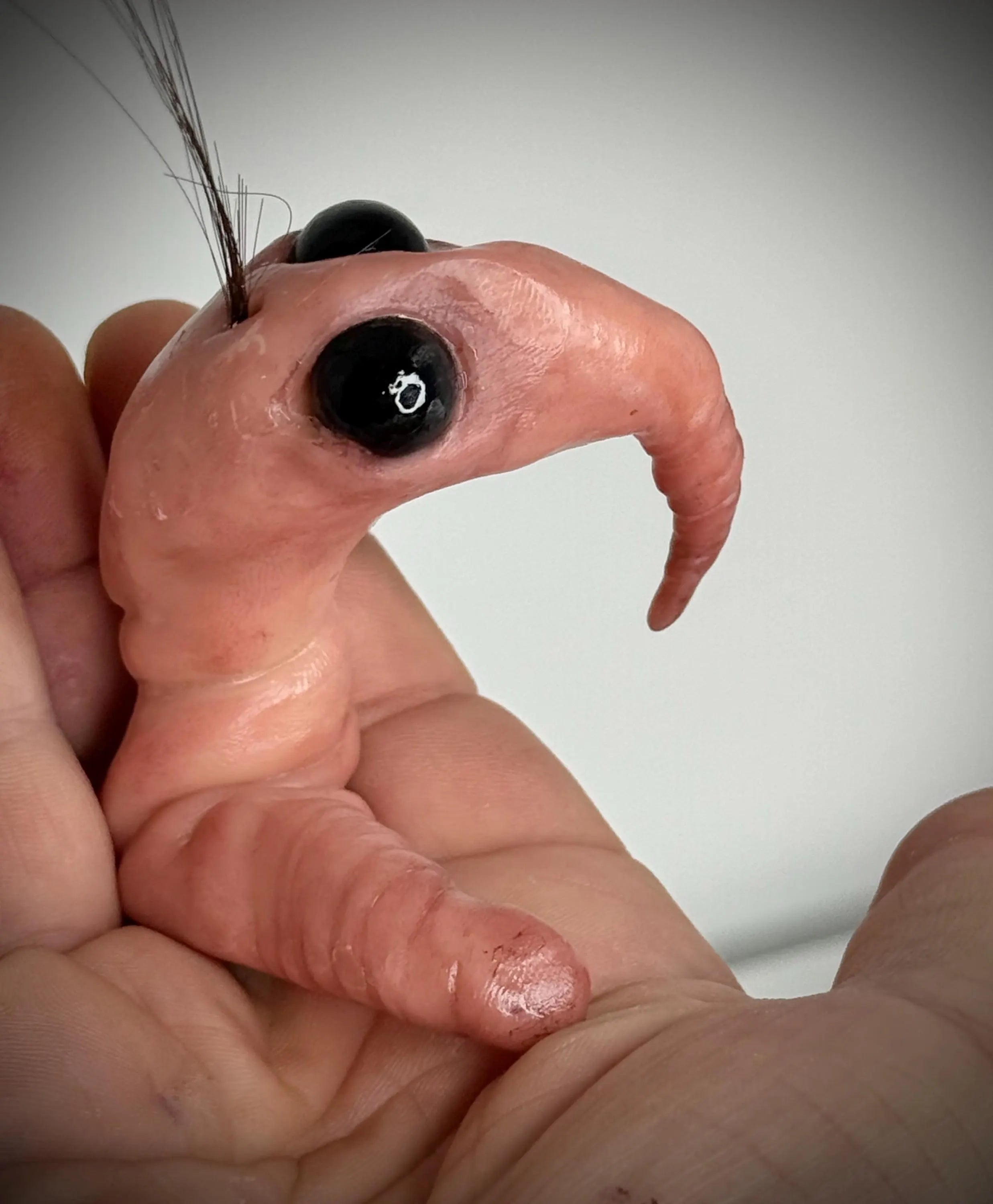 Prawn – Grotesque Handmade Creature Sculpture