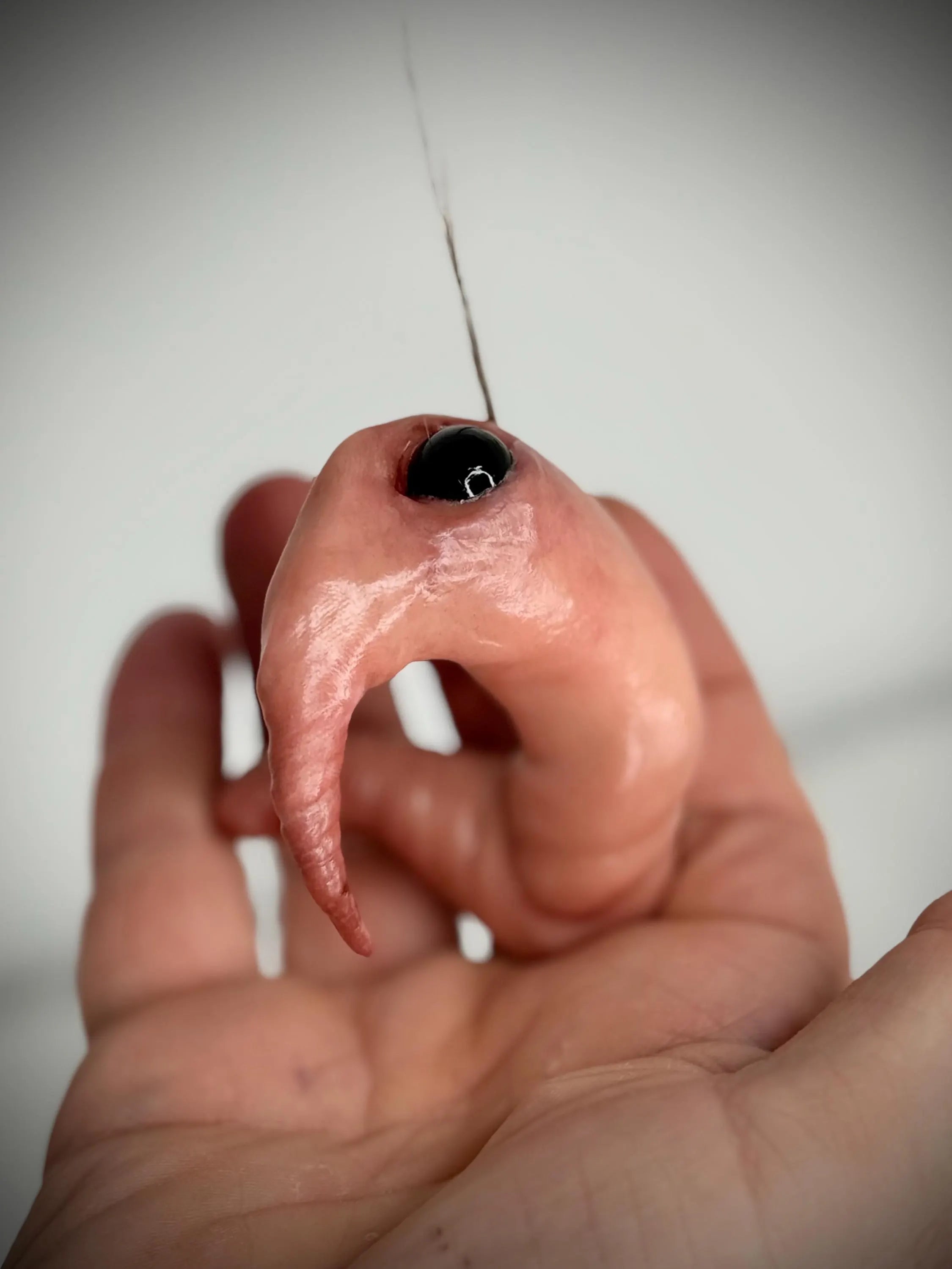 Prawn – Grotesque Handmade Creature Sculpture